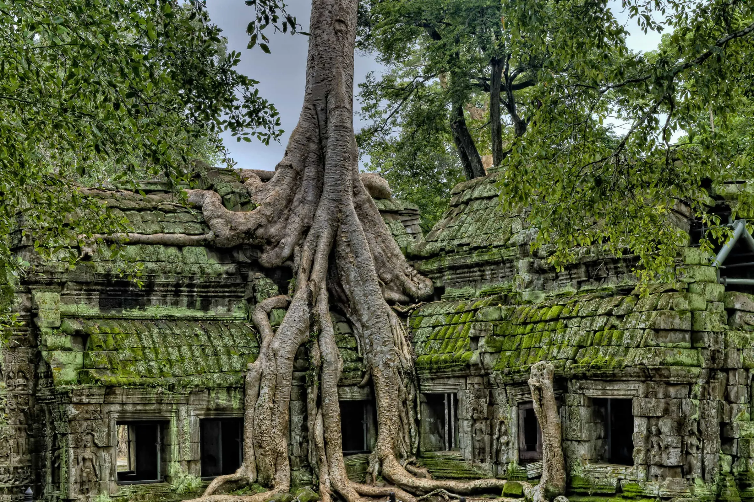 Cómo ir de Trat a Camboya
