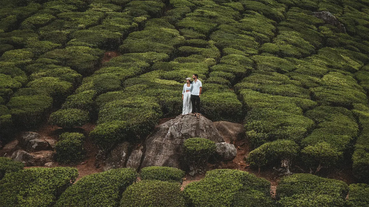 Charo y Marcos en una plantación de té